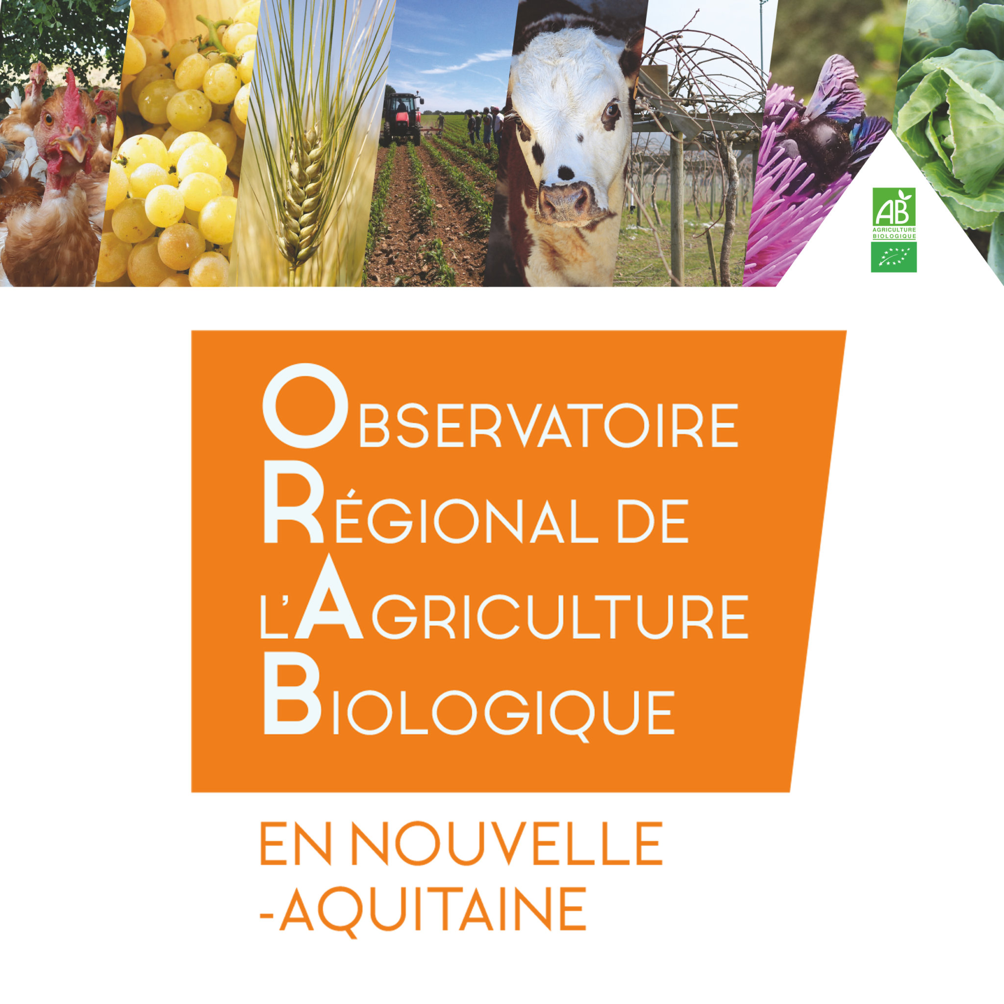 Agrobio 47 Groupement Départemental Du Réseau Bio Nouvelle-Aquitaine